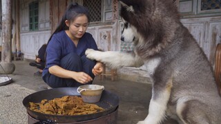 My owner always gives me snacks