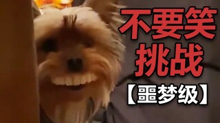 【不要笑挑战】笑到吐！吃饭时慎入！根本憋不住！