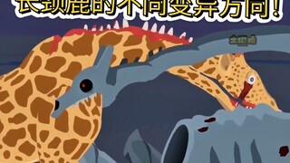 长颈鹿的不同变异方向！
