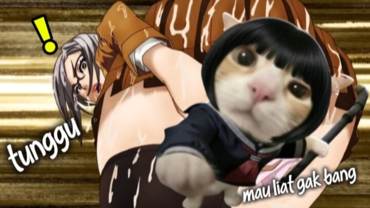 Gini jadinya Anime Hentong Berkedok Komedi I Prison school