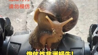 Ốc sên: Mày dùng pháo để phá tan nó. Chẳng phải bắt nạt người lương thiện là thế sao?