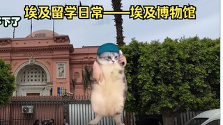 （猫猫meme）在埃及留学的日常【3：埃及博物馆】