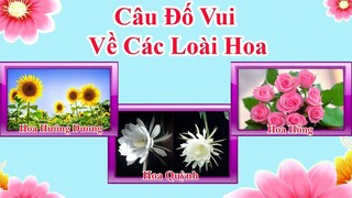 Câu đố vui về các loài hoa cho bé | PingTV