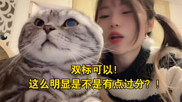 มาเป็นแมวกันเถอะ! น้องเหมียว!!!!