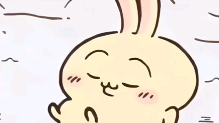 Rabbit · Cute Motion & Still (2)