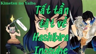 Kimetsu no Yaiba|Tất Tần Tật về Hashibira Inosuke - "Đấng Ỉn"|Hồ Sơ Nhân Vật #13|GSANIME.