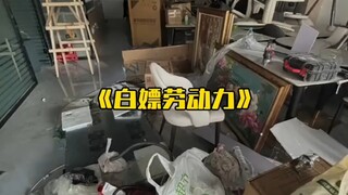 Chủ mới vừa được lợi dụng sức lao động miễn phí ba ngày, cửa hàng mới của anh ta đã phải đối mặt với