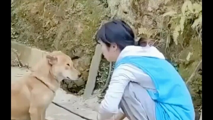 Chó con: Trong cái nhà này, nói về việc “nắm đằng chuôi” bà chủ thì tớ chưa từng thua ai đâu #Chuyện