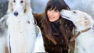 Can Russian Wolfhounds really hunt wolves?