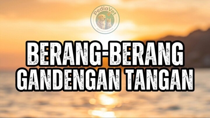 Berang-Berang Laut Tidur Sambil Gandengan Tangan, Ini Alasan Ilmiahnya