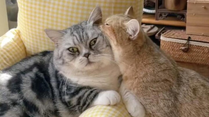 You're definitely getting beaten today.