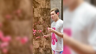 Chuyện bán đào tết