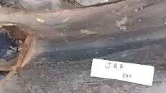 kaya pala hindi abutan