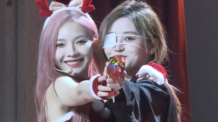 【Tân Dương】Cẩn thận｜Buổi biểu diễn ngày 11/12/2022