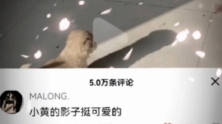 Thông tin hơi nhiều.