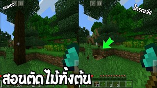 สอนตัดต้นไม้แบบเร็วโครต!? อย่างกะ TheFast! ได้ทั้งต้น | Minecraft Pe