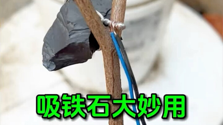 Amazing Uses of Magnets