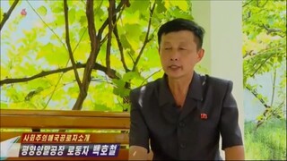 História de Paek Ho Chol, trabalhador da Fábrica de Meias de Pyongyang
