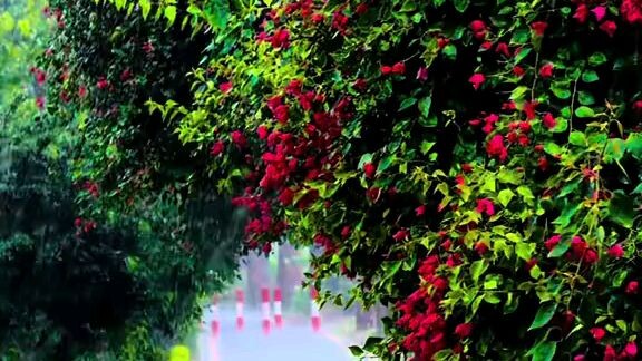 #beautiful place