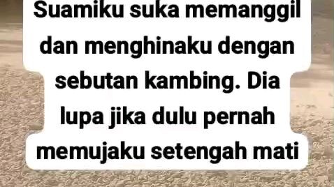 Wanita yang Kau Panggil Kambing