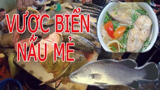 CÁ VƯỢC NẤU MẺ BIỂN CỒN VÀNH THÁI BÌNH .