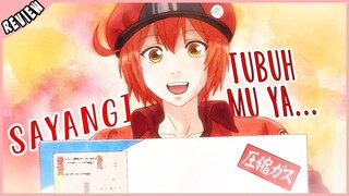 Sayangi Tubuh mu...biar tetap sehat... | Hataraku Saibou Episode 13 [FINAL EPISODE REVIEW]