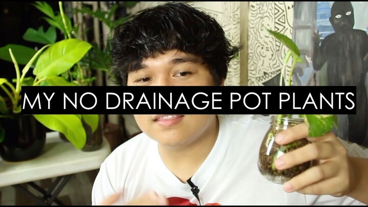 My No Drainage Holes Pot Plants + Care Tips