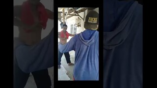 pengumuman dari kepala penjaga istaana #funnyvideo  #funnyshorts #short #fyp