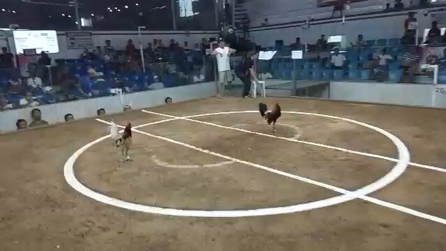 Sureble talaga si white chocolate