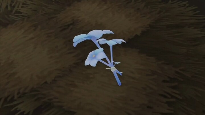 This flower brother is not wearing it on his head, do you want to know what to say about the electio