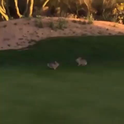 هناك حركات وهمية هاها