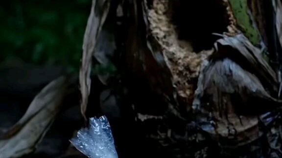 sa Bisaya ba o Tagalog?😆