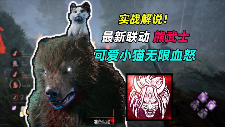 Cute Frenzied Haki Bear! Night of the Living Meows—Survivors Can’t Escape the Bear’s Claws | Dead by
