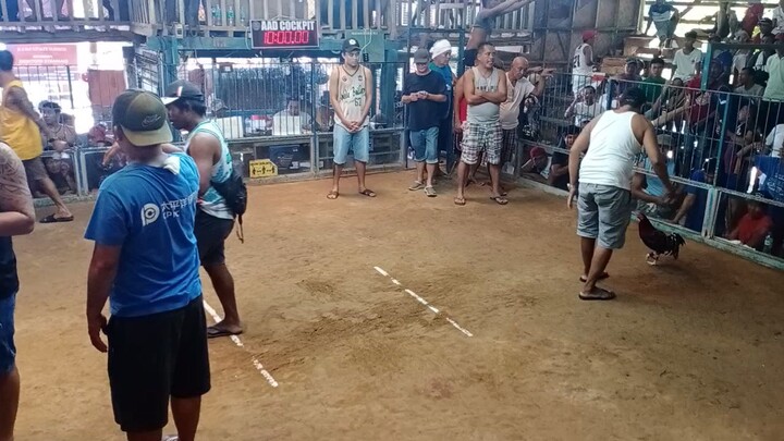 3x times win,third wins