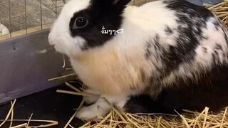 เย่