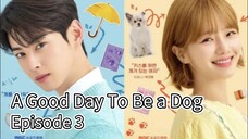 A Good Day To Be a Dog (2024) | Episode 3 | EngSub