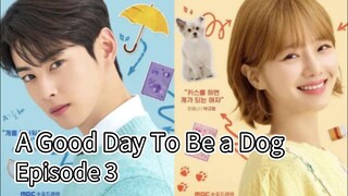 A Good Day To Be a Dog (2024) | Episode 3 | EngSub