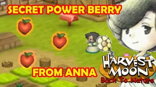 POWER BERRY RAHASIA DARI ANNA