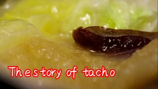The story of tacho