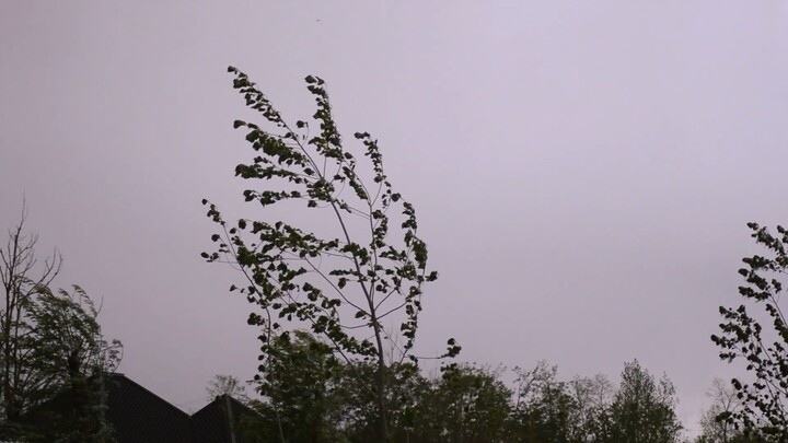 ASMR: Violent Windstorm Hits a Remote Kashmir Village | Vintage Sony CCD Colors