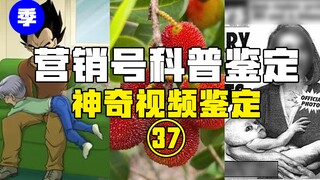 【การตรวจสอบยอดนิยม】การตีก้นสามารถเพิ่มระดับไอคิวของคนได้จริงหรือ? ทำไมการจุดประทัดแล้วระเบิดถังน้ำถึ