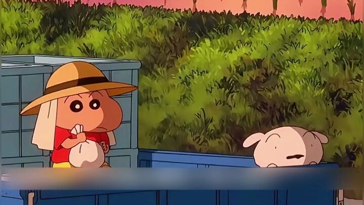 Which version of little Shin-chan as an adult do you like best?