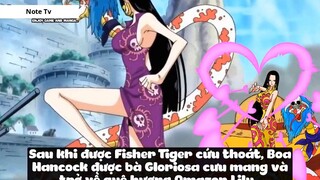 Top 8 Người Vô Tình _Ăn_ Trái Ác Quỷ trong One Piece #18- 11