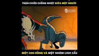 TRẬN CHIẾN CUỒNG NHIỆT GIỮA MỘT NGƯỜI MỘT CON RỒNG VÀ MỘT NHÓM LINH CẨU