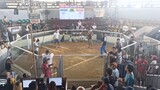 San Jose Batangas  first fight win