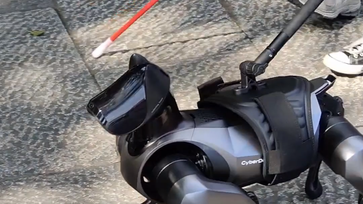 【诺子】船新体验的导盲方式～正片预告[UPOWER_10276136_导盲猫]