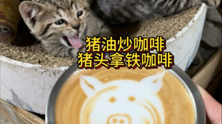 农村猫咖，猪头拿铁咖啡