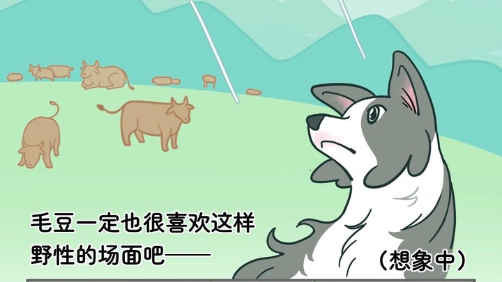 Mao Dou Meets a Goat for the First Time