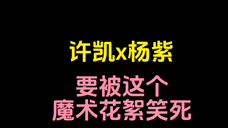 【许凯x杨紫】果然你俩搞笑的基因是藏不住的哈哈!!