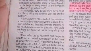 Daily Verse.                            Genesis 43:11-14